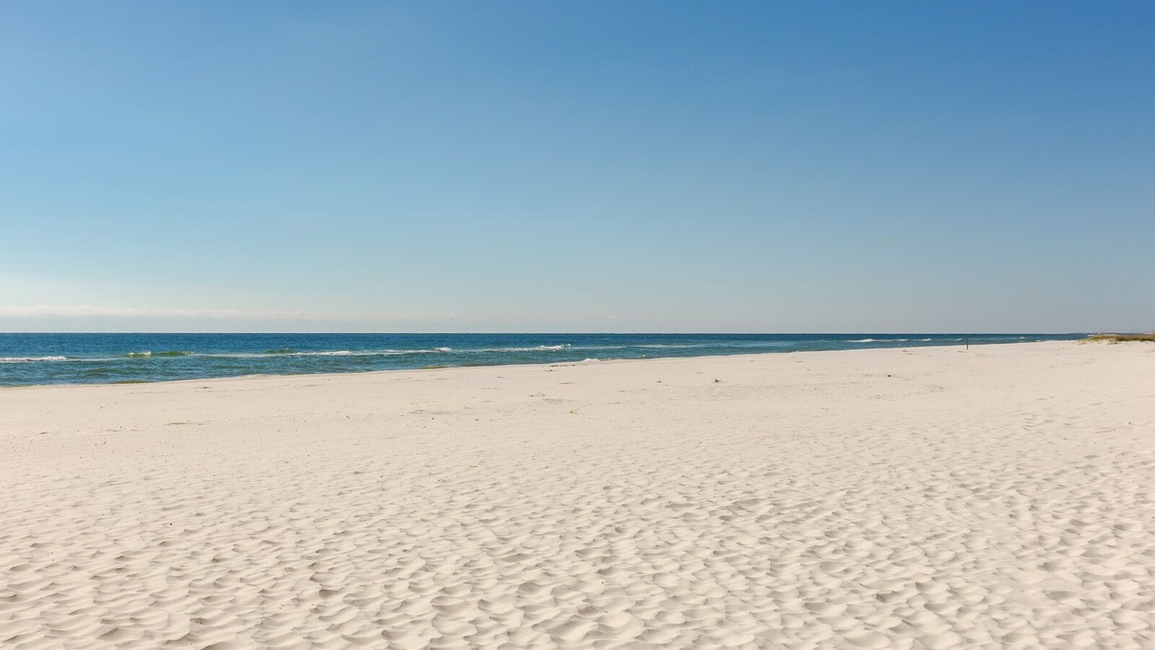 Photo of Others in Orange Beach East
