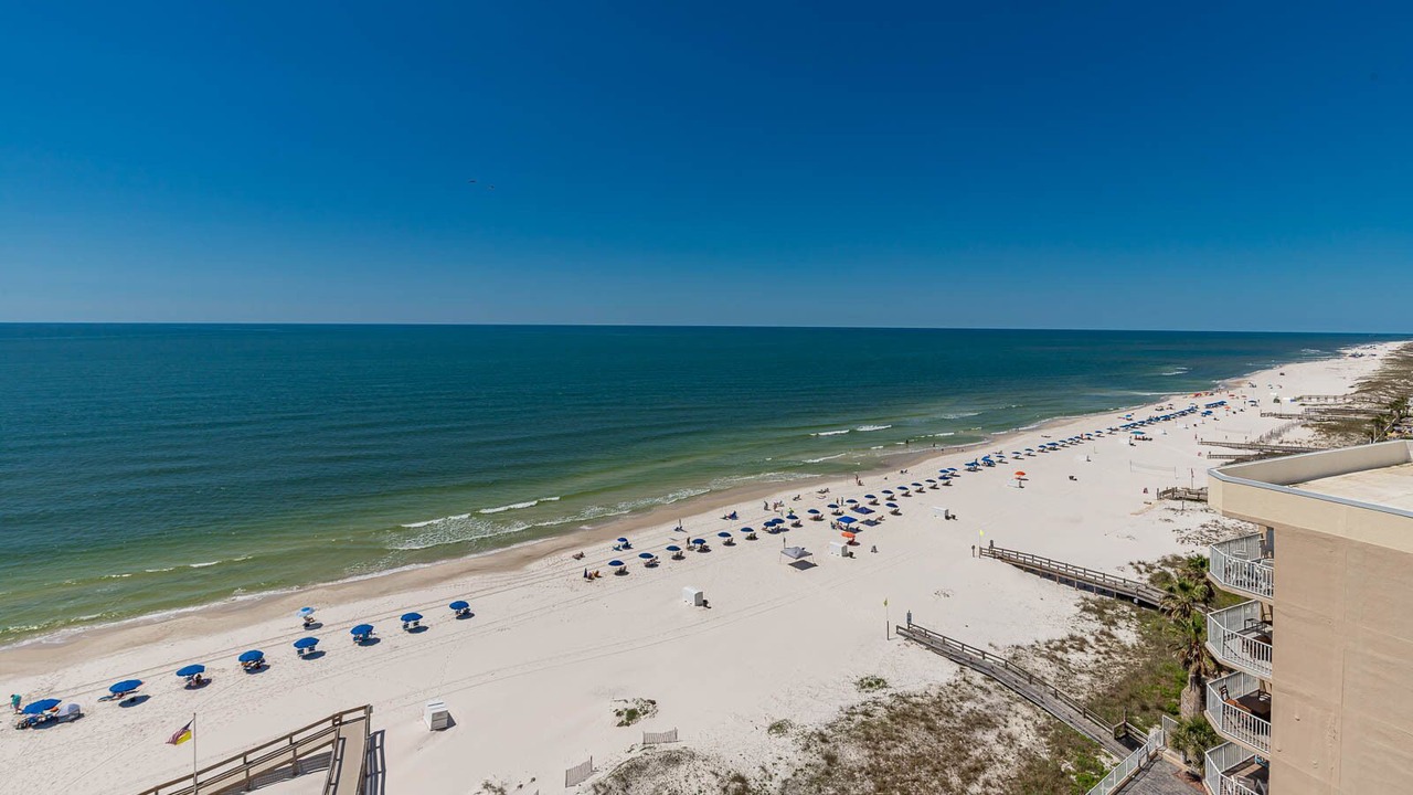 Photo of Others in Orange Beach