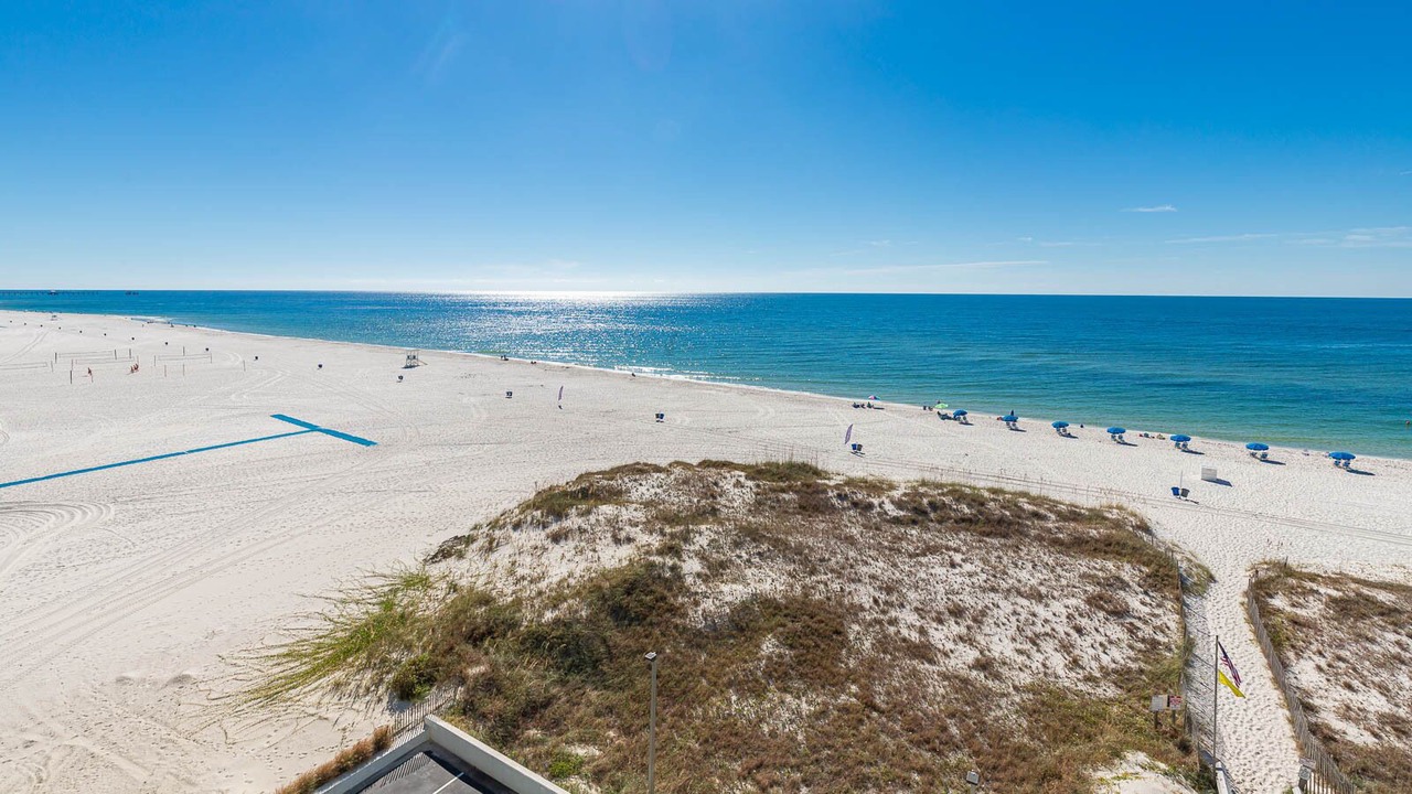 Photo of Others in Gulf Shores