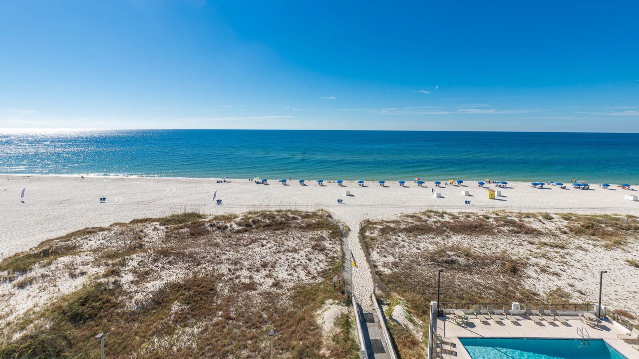Photo of Others in Gulf Shores