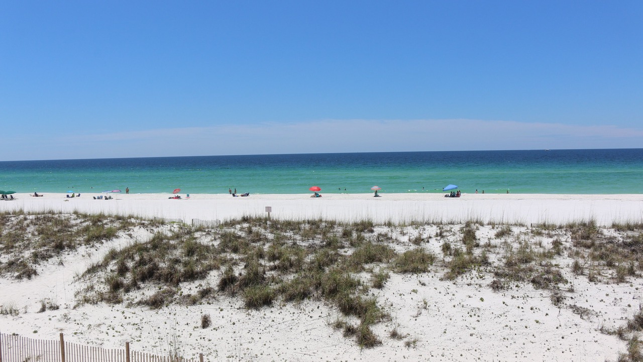 Photo of Others in Pensacola Beach
