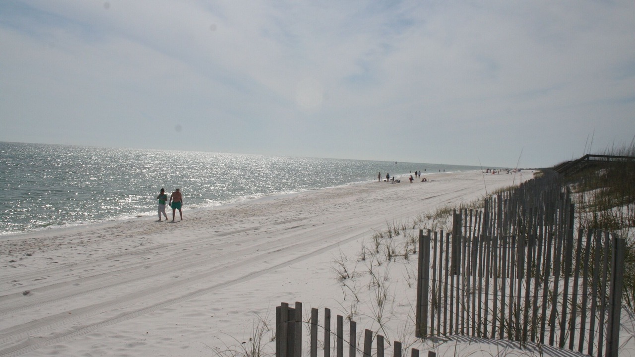 Photo of Others in Pensacola Beach