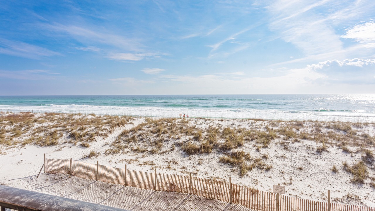 Photo of Others in Pensacola Beach