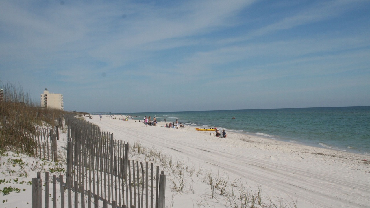 Photo of Others in Pensacola Beach