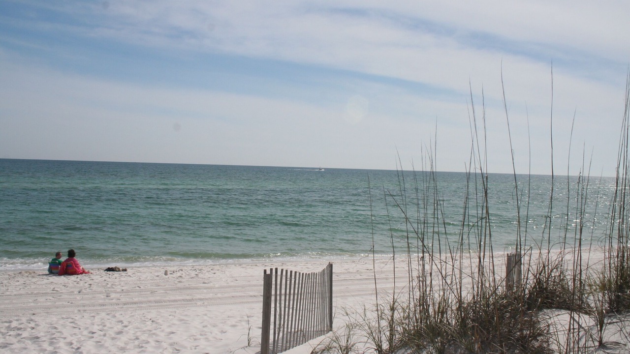 Photo of Others in Pensacola Beach