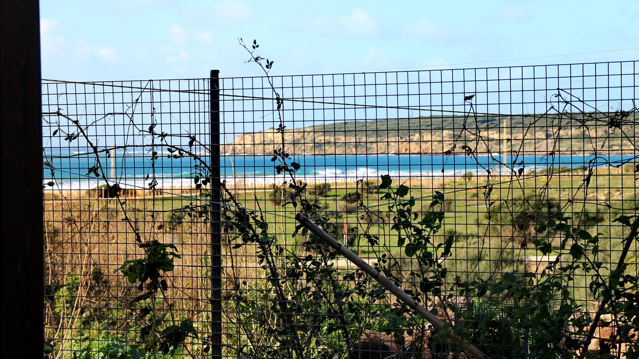 Photo of Outdoor in Bolonia
