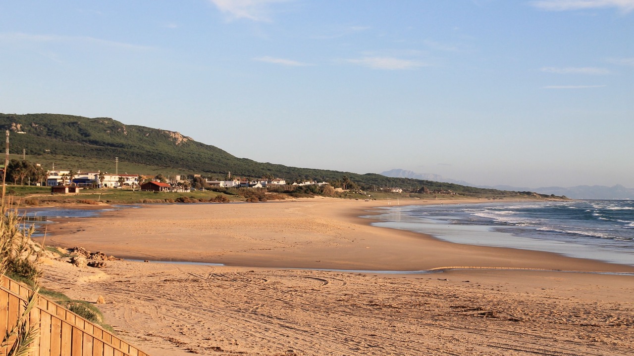 Photo of Others in Bolonia