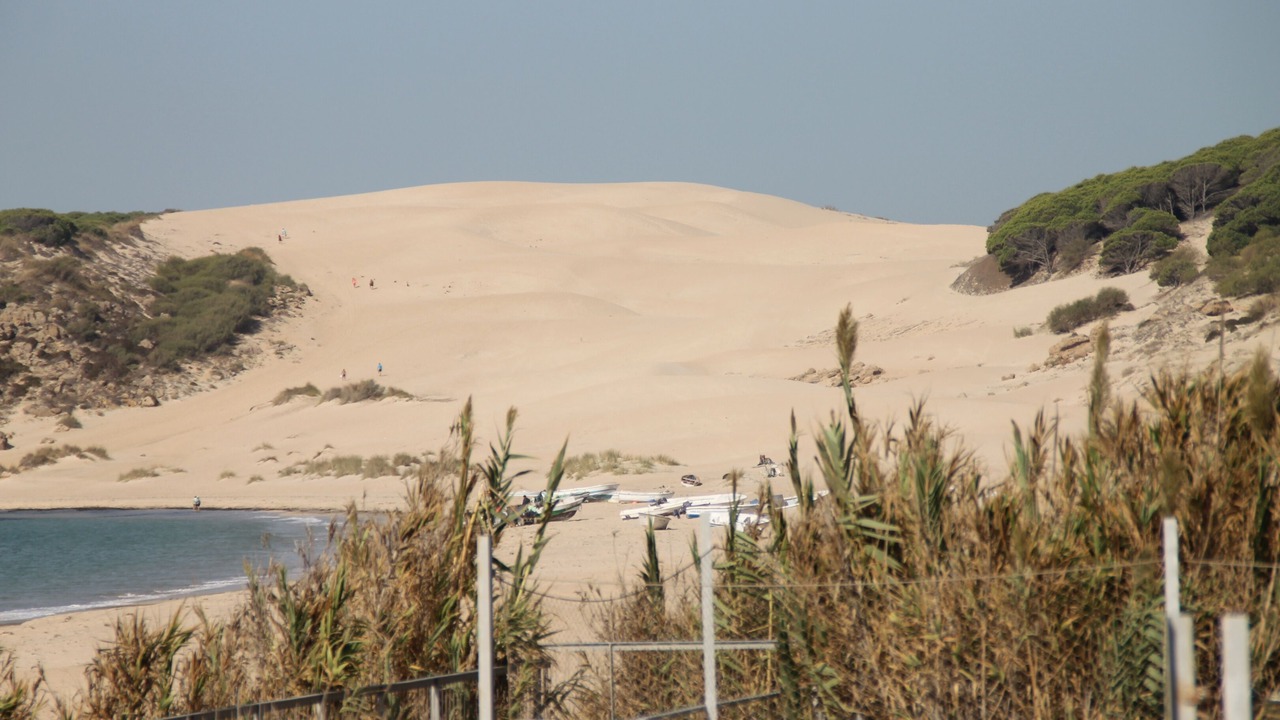 Photo of Others in Bolonia