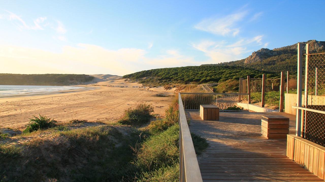 Photo of Others in Bolonia