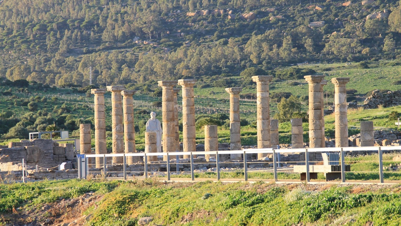 Photo of Others in Bolonia