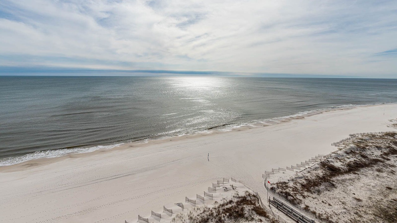Photo of Others in Orange Beach East