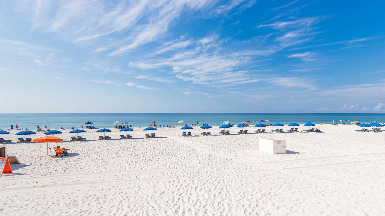 Photo of Others in Orange Beach