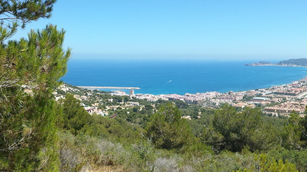 Photo of Others in Platja de l'Arenal