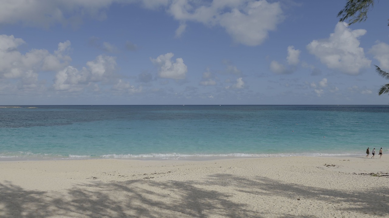 Photo of Others in Paradise Island