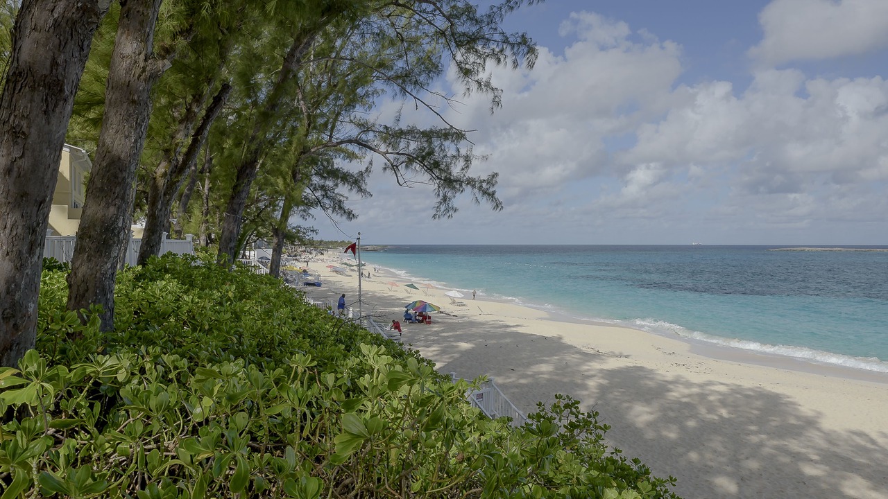 Photo of Others in Paradise Island