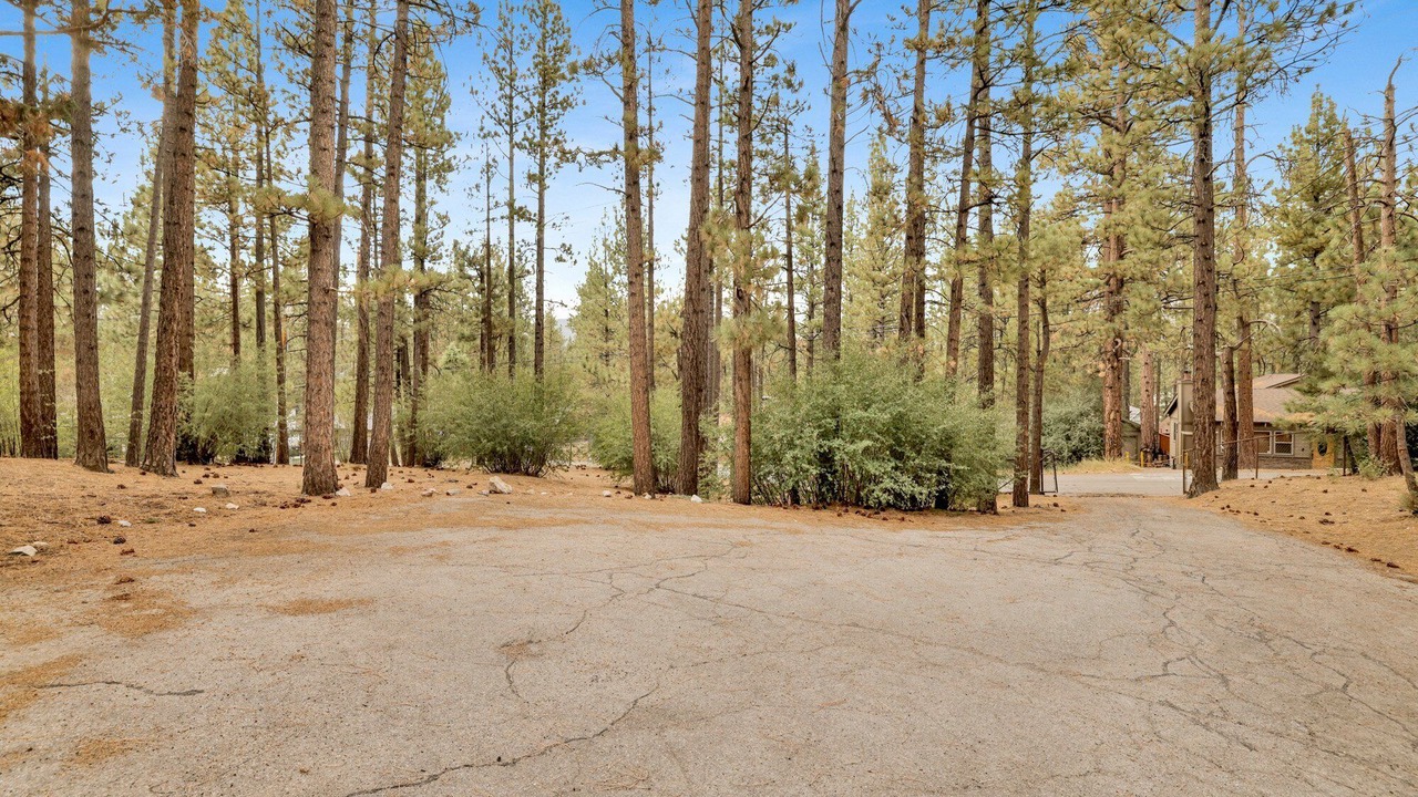 Photo of Others in Big Bear