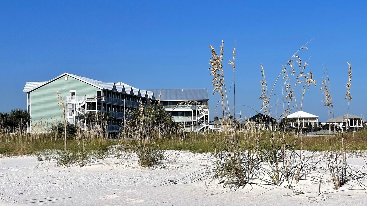 Photo of Others in Orange Beach East
