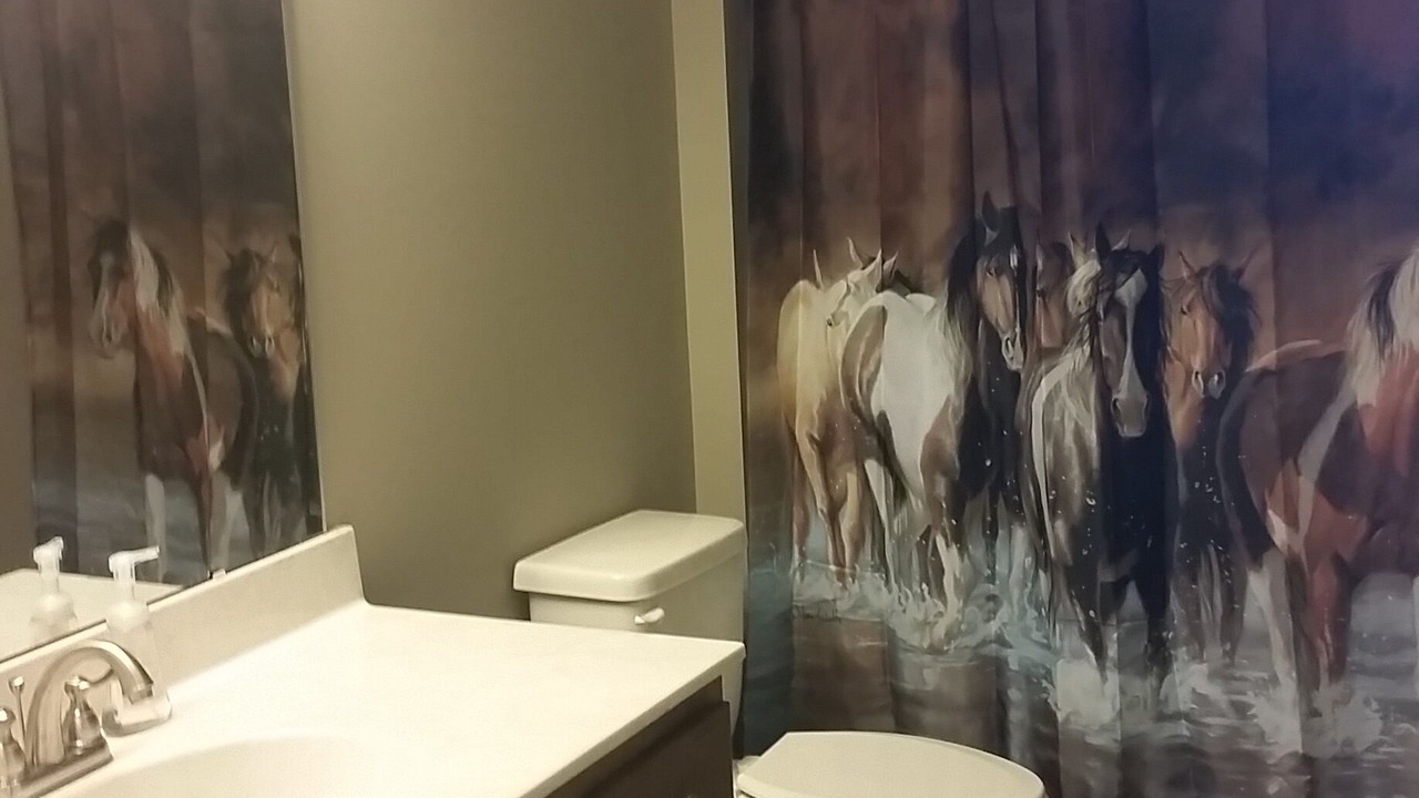 Photo of Bathroom in Hendersonville