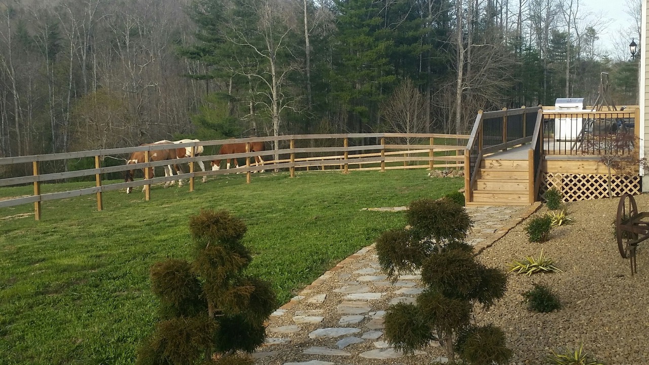 Photo of Outdoor in Hendersonville