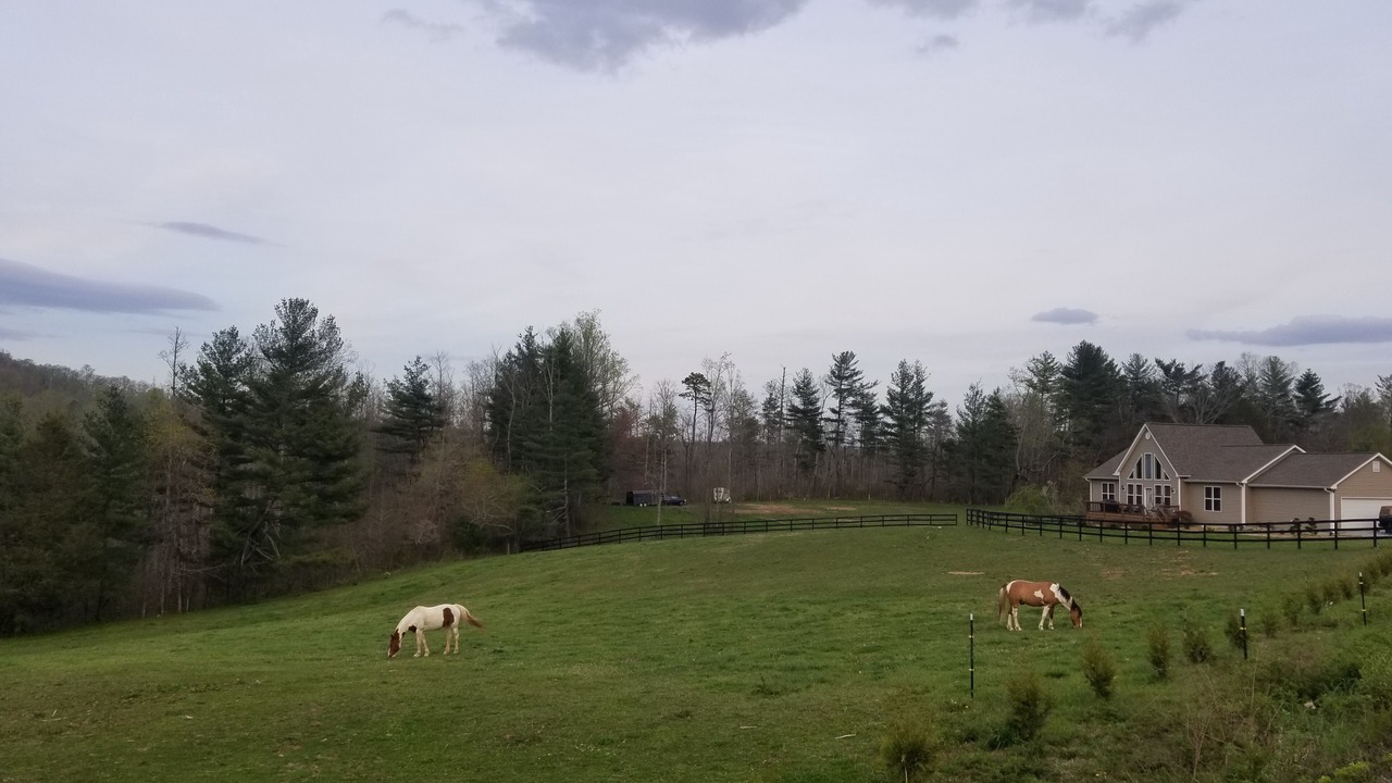 Photo of Outdoor in Hendersonville