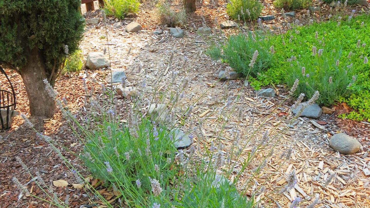 Photo of Outdoor in Boyes Hot Springs
