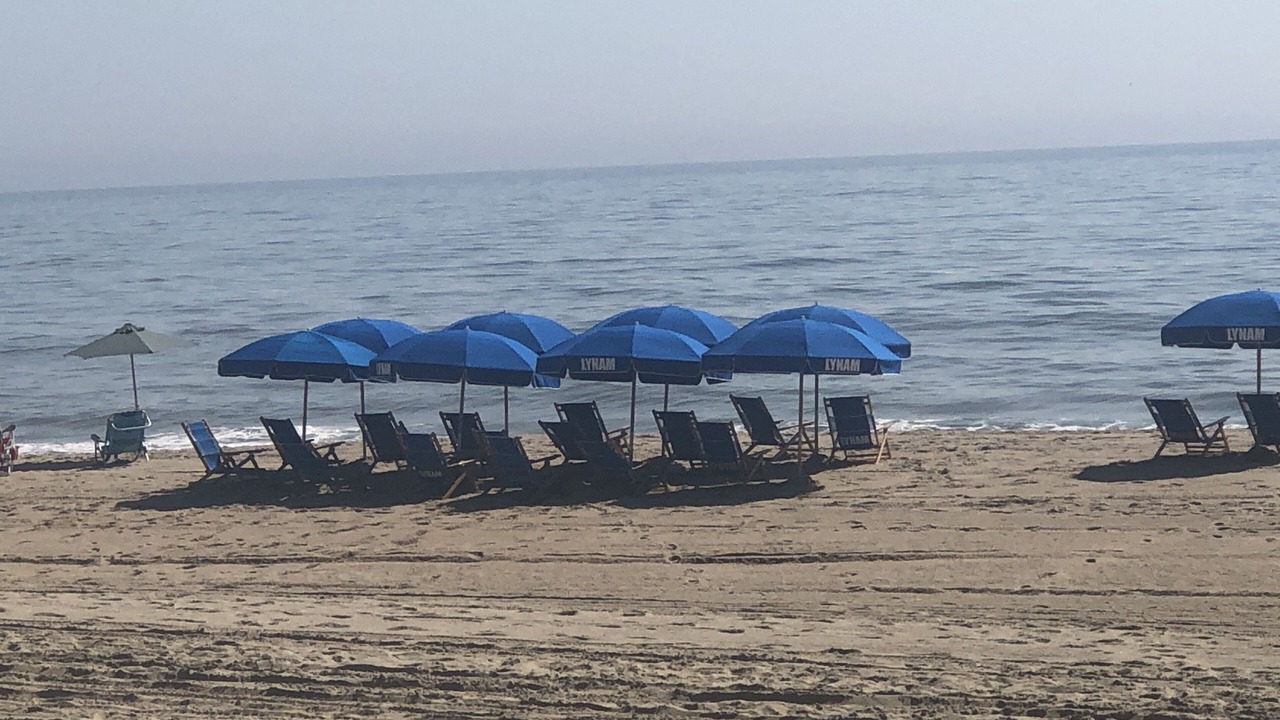 Photo of Others in Rehoboth by the Sea