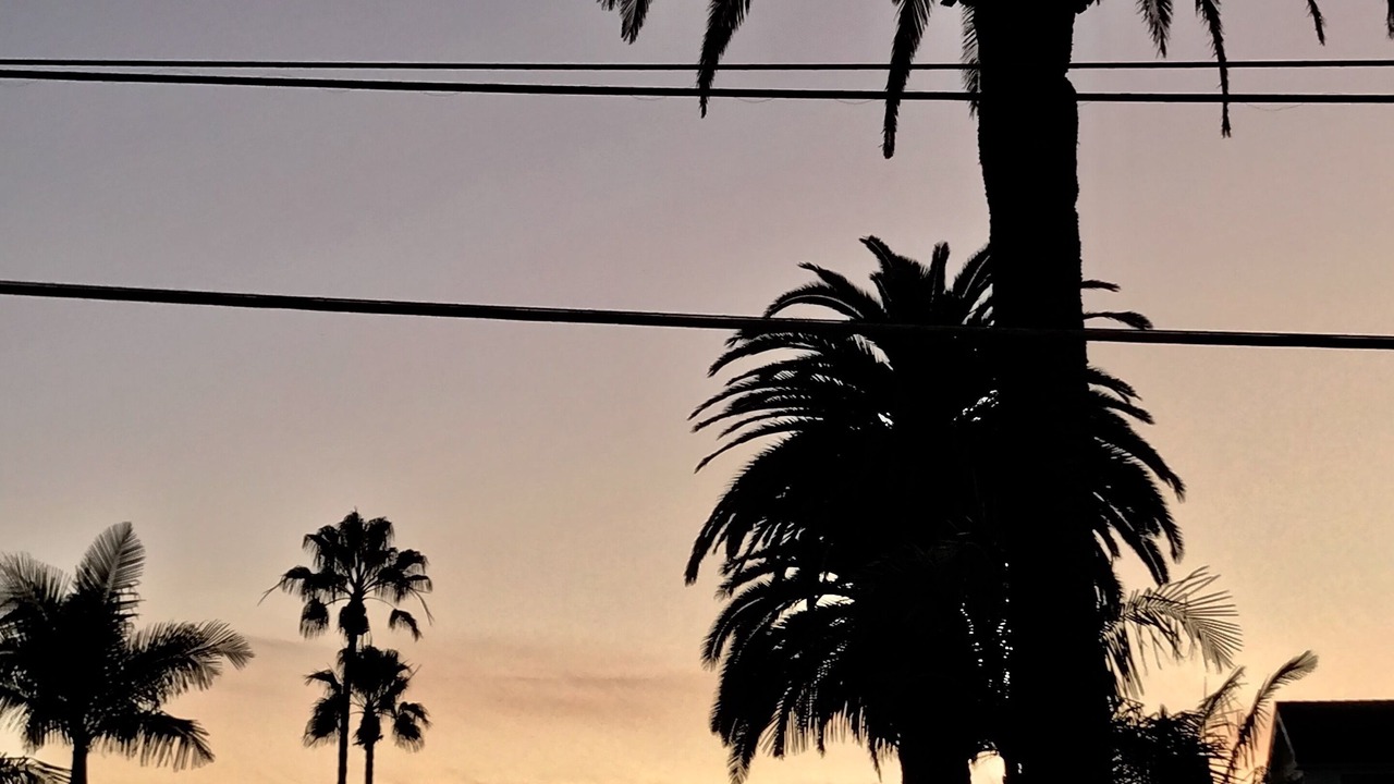 Photo of Others in Corona del Mar