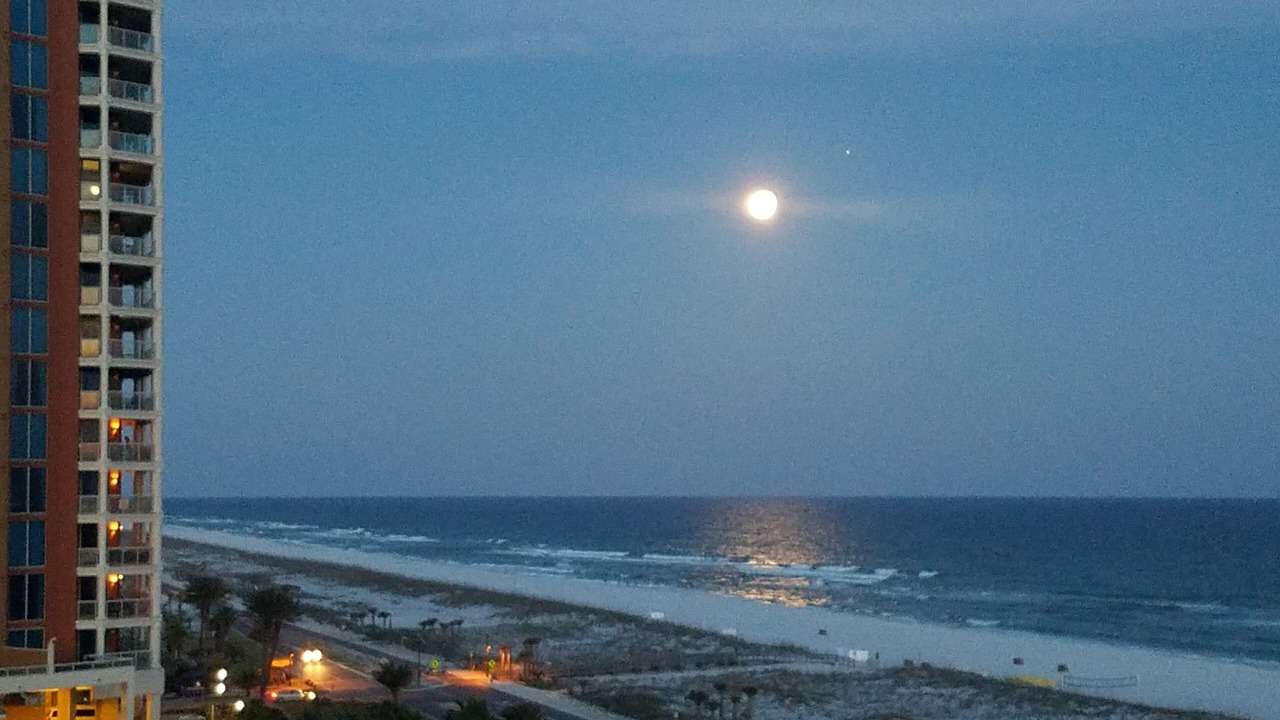 Photo of Others in Pensacola Beach