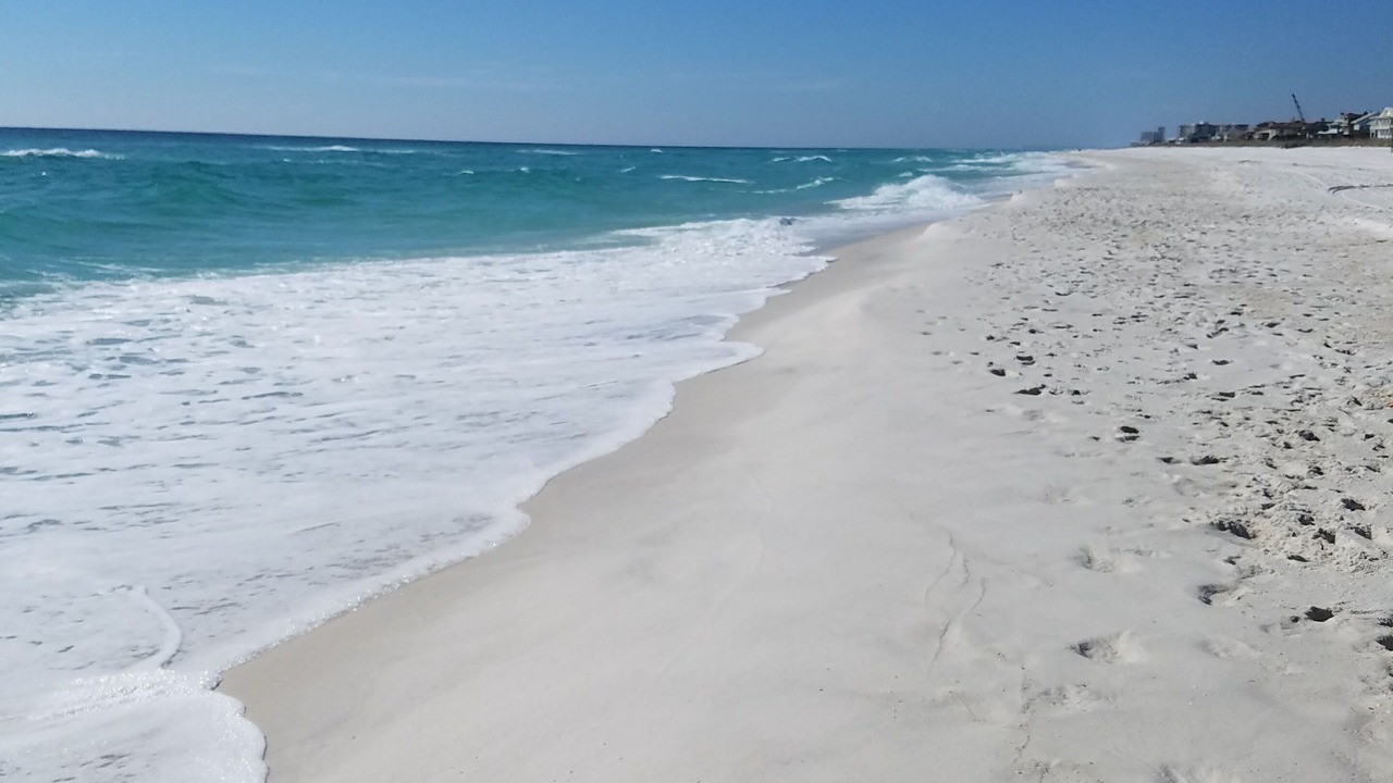 Photo of Others in Pensacola Beach