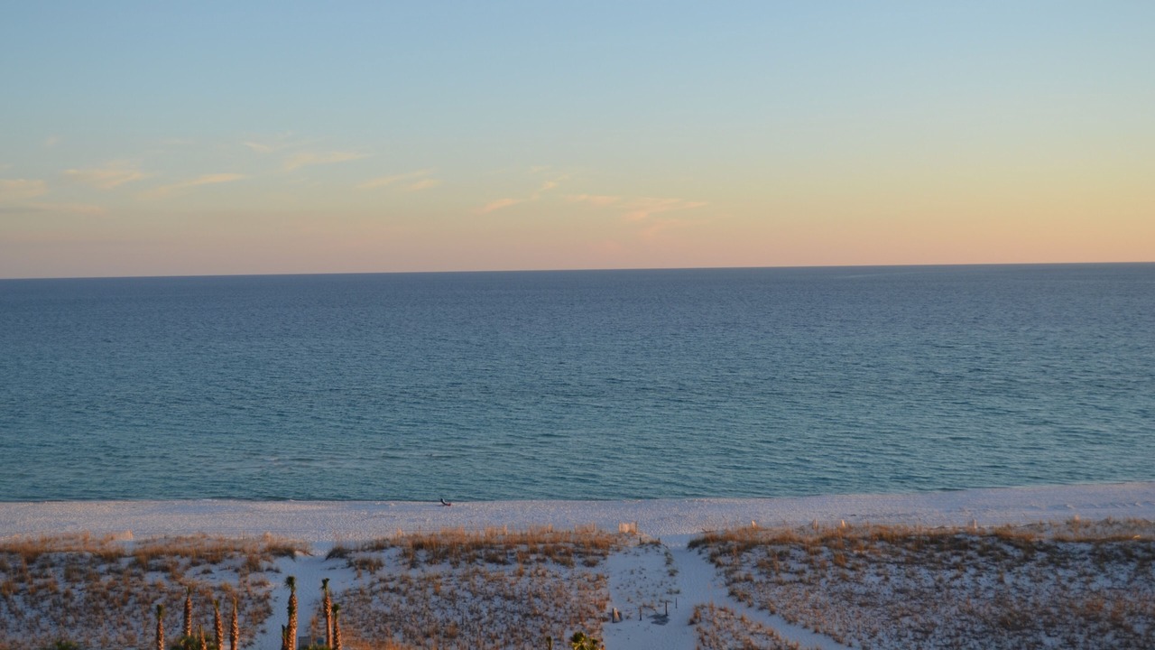 Photo of Others in Pensacola Beach