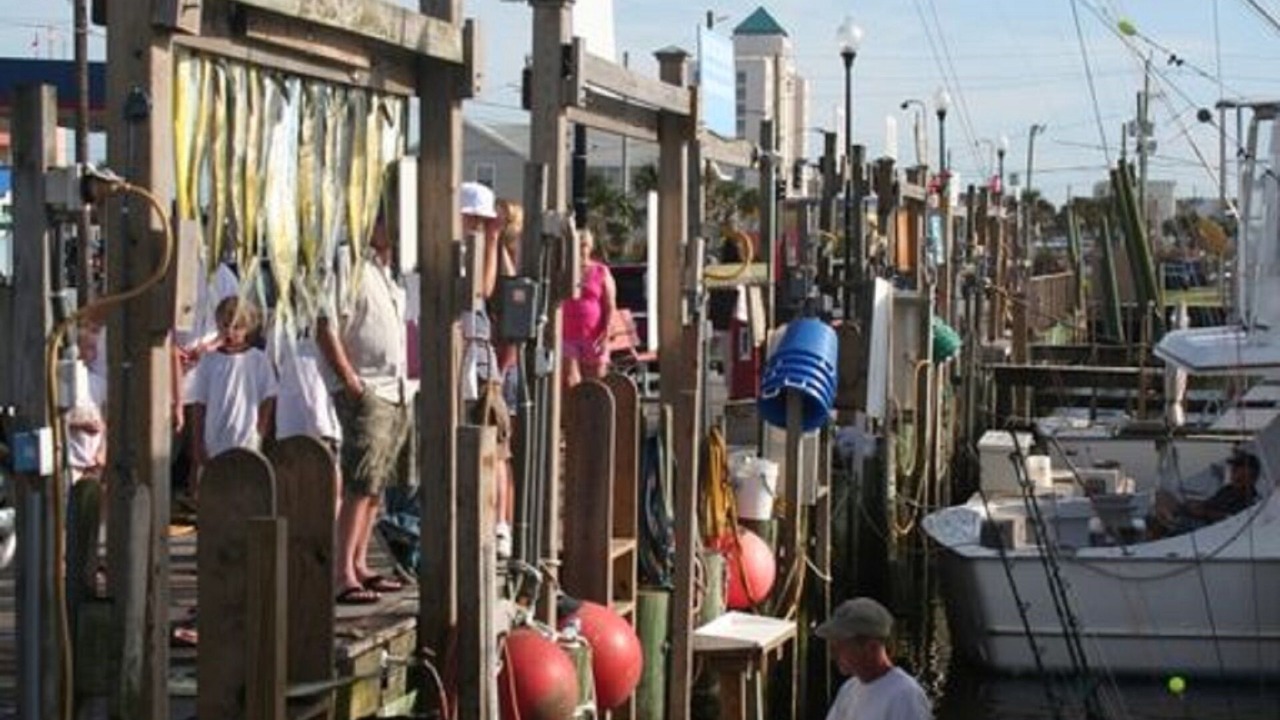 Photo of Others in North Carolina Coast