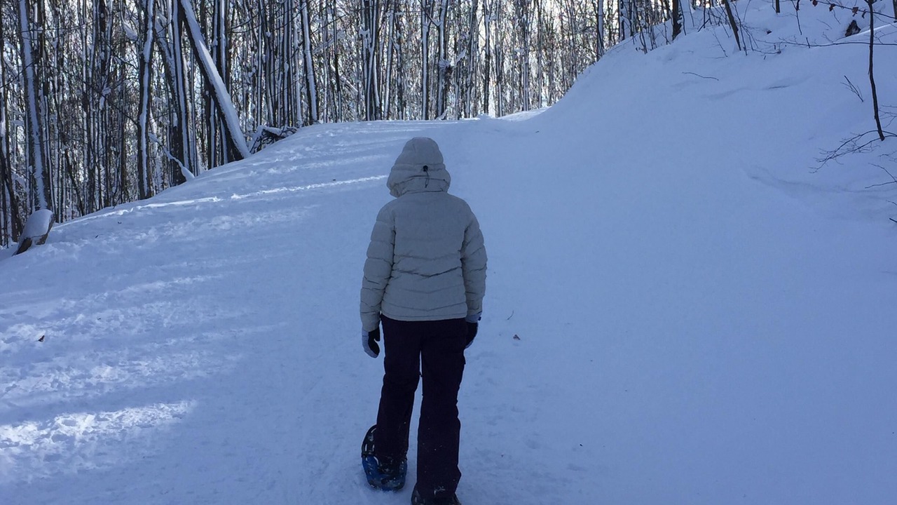 Photo of Others in Ellicottville