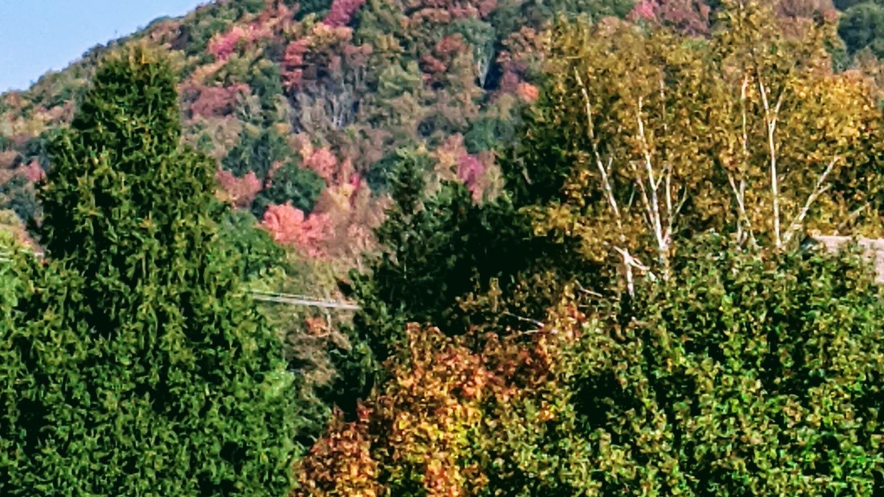 Photo of Others in Ellicottville