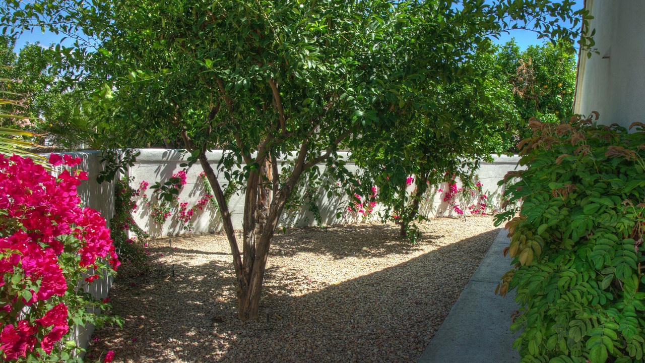Photo of Others in Topaz