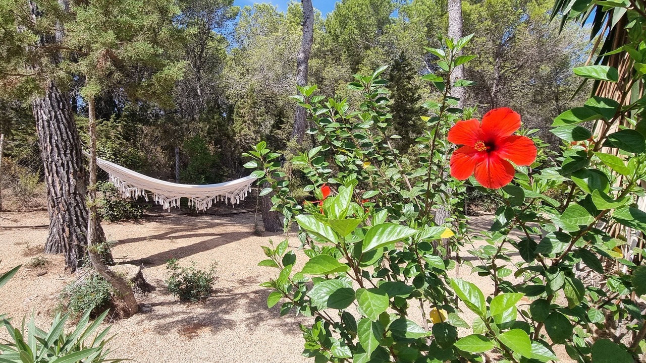 Photo of Outdoor in Santa Eulalia del Rio
