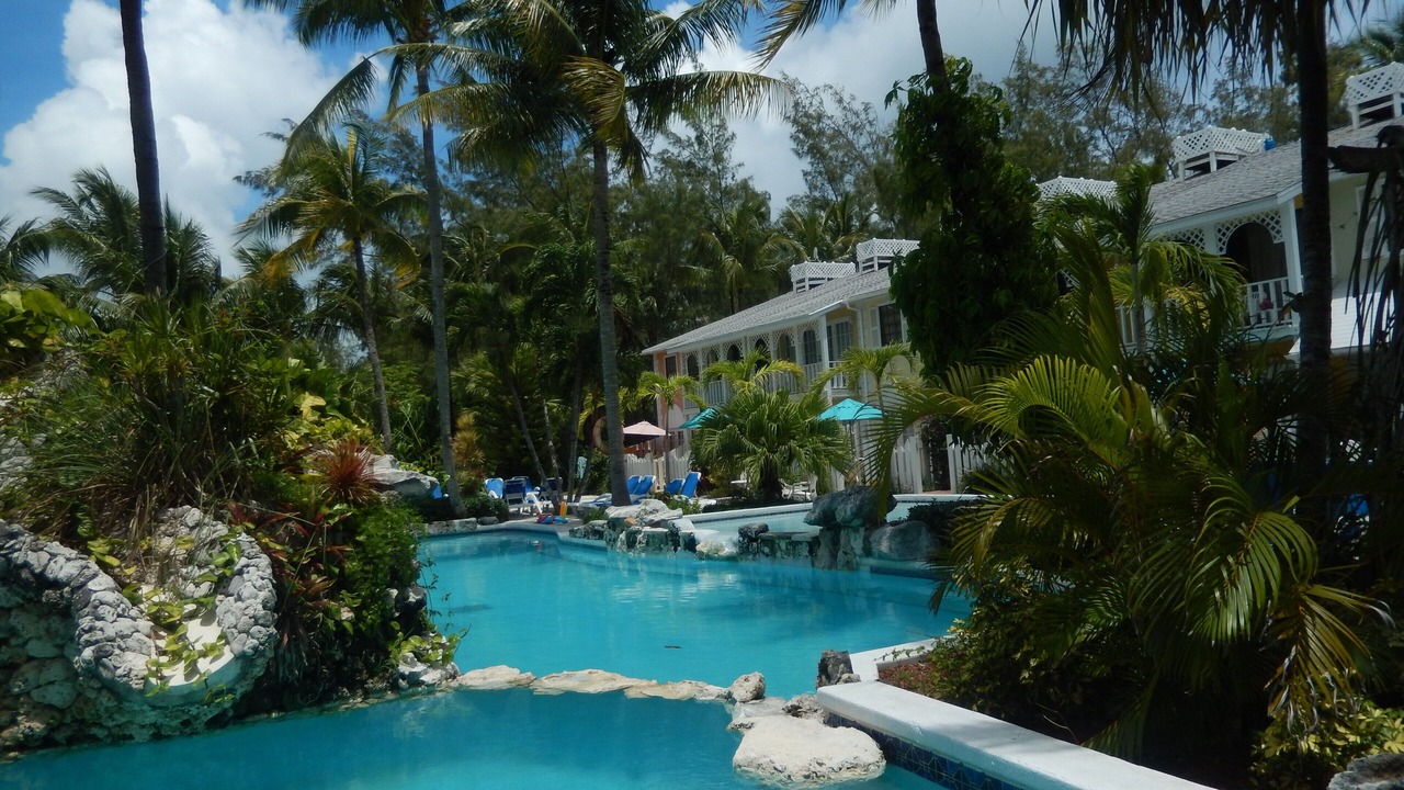 Photo of Others in Paradise Island