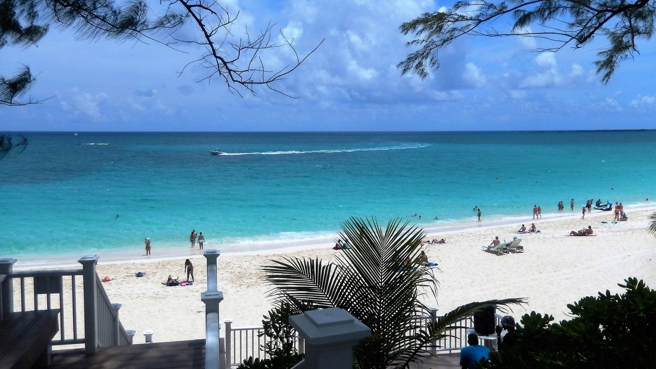 Photo of Others in Paradise Island