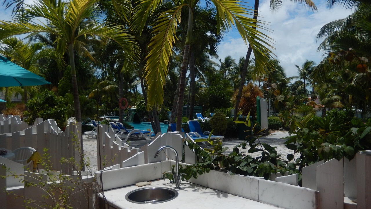 Photo of Others in Paradise Island
