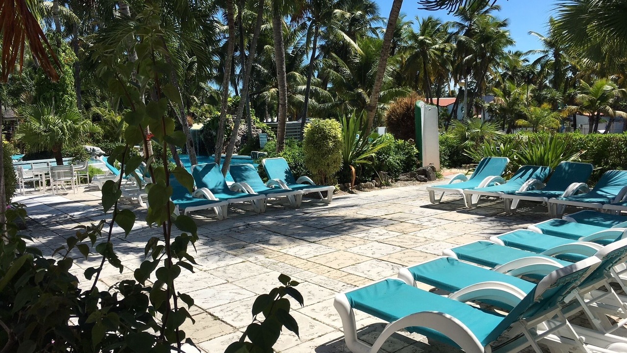 Photo of Outdoor in Paradise Island