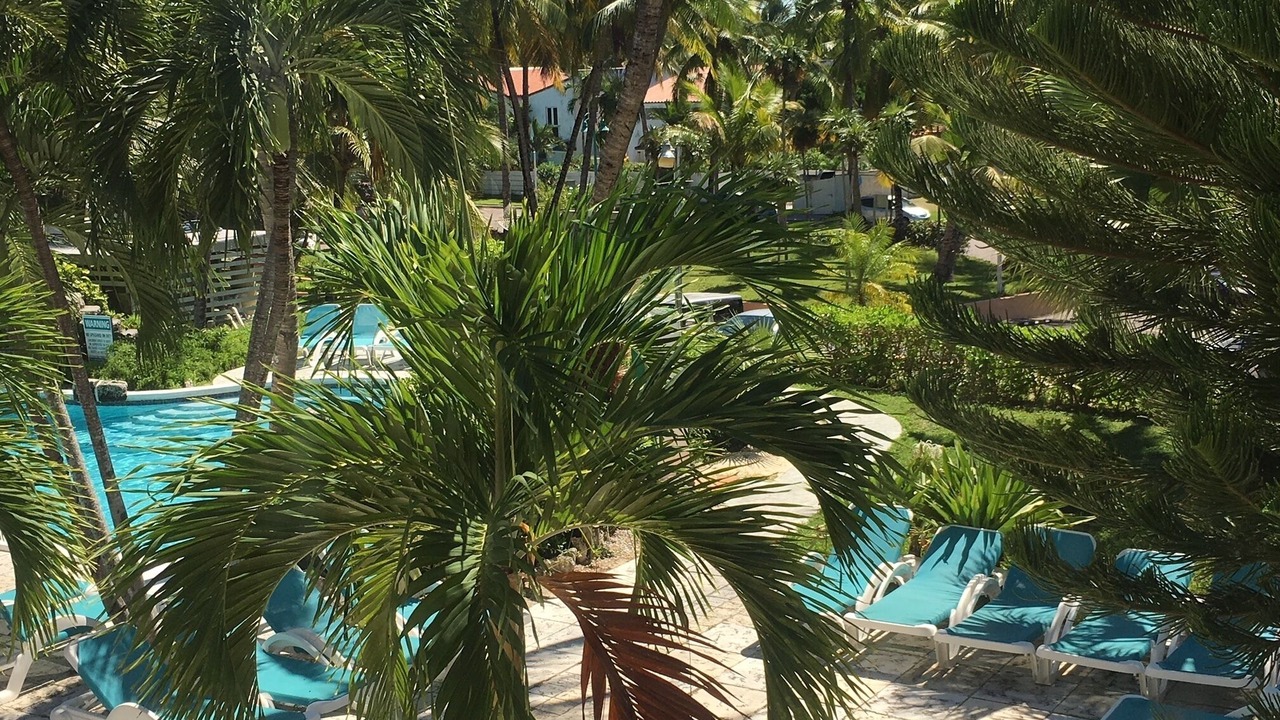 Photo of Outdoor in Paradise Island