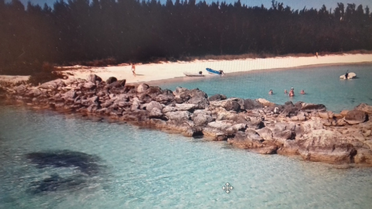 Photo of Others in Bahama Reef