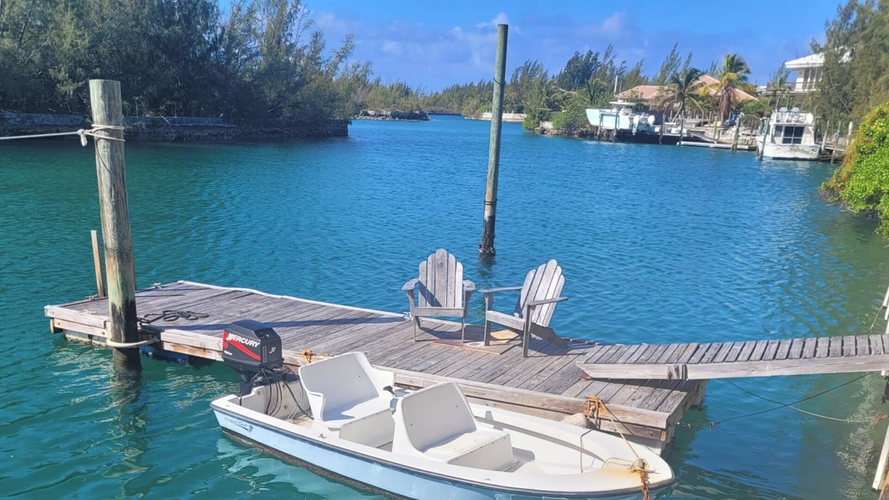 Photo of Others in Bahama Reef