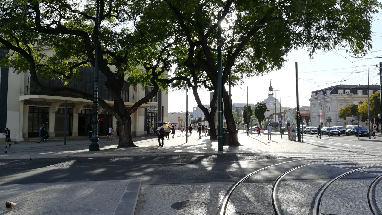 Photo of Others in Chiado