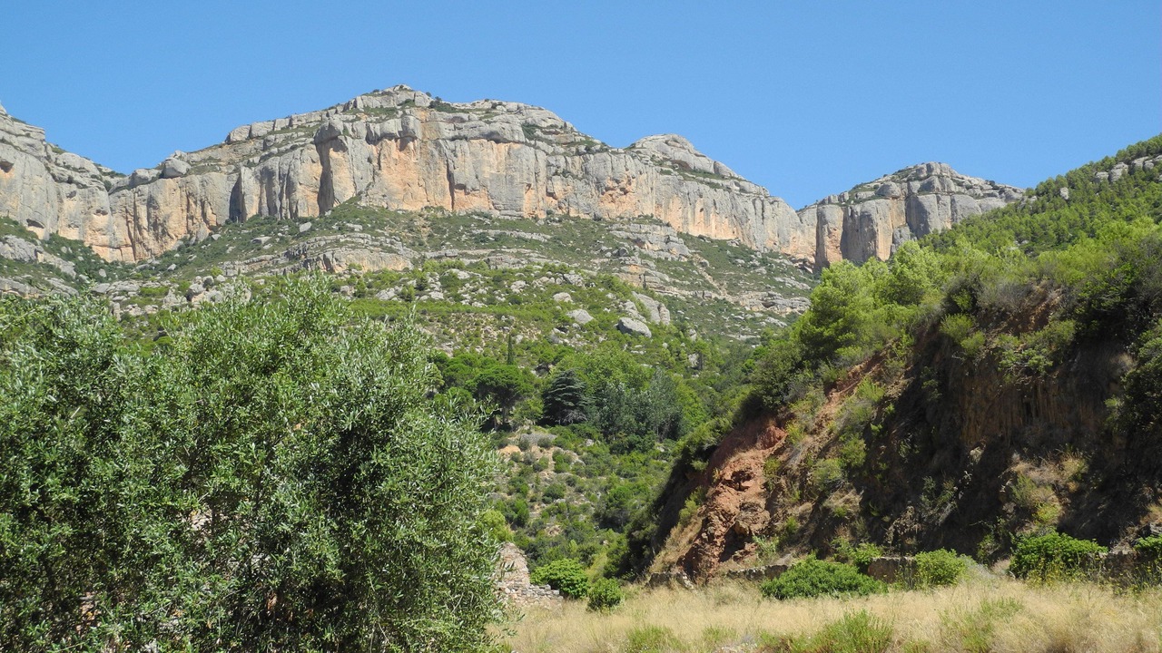 Photo of Others in Torroja del Priorat