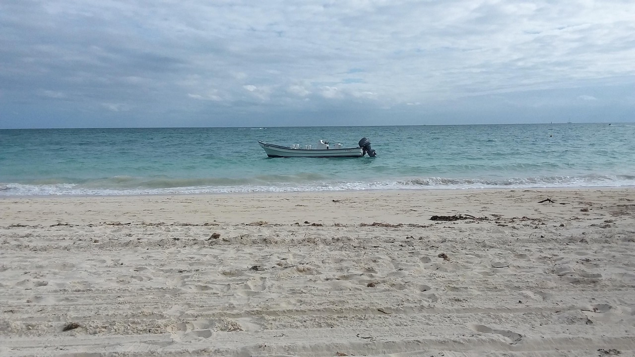 Photo of Others in Bell Channel Bay