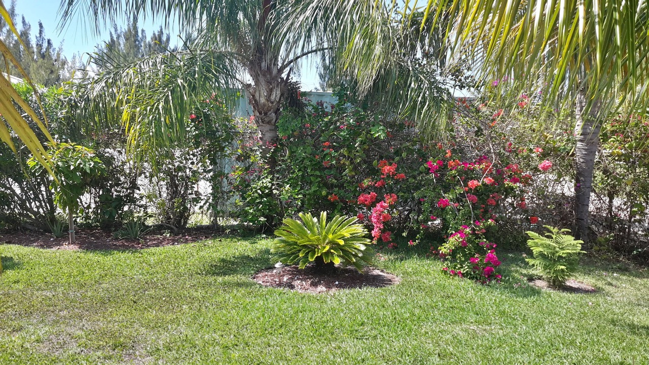 Photo of Outdoor in Bell Channel Bay