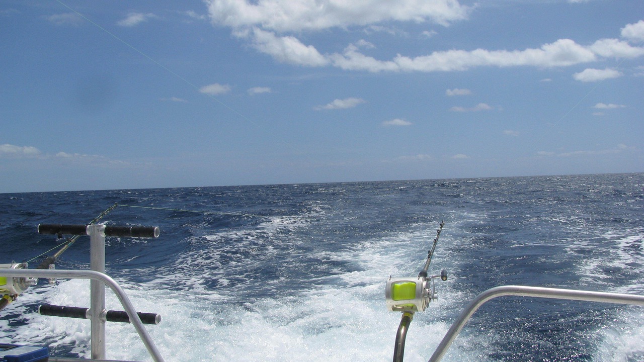Photo of Outdoor in Bell Channel Bay