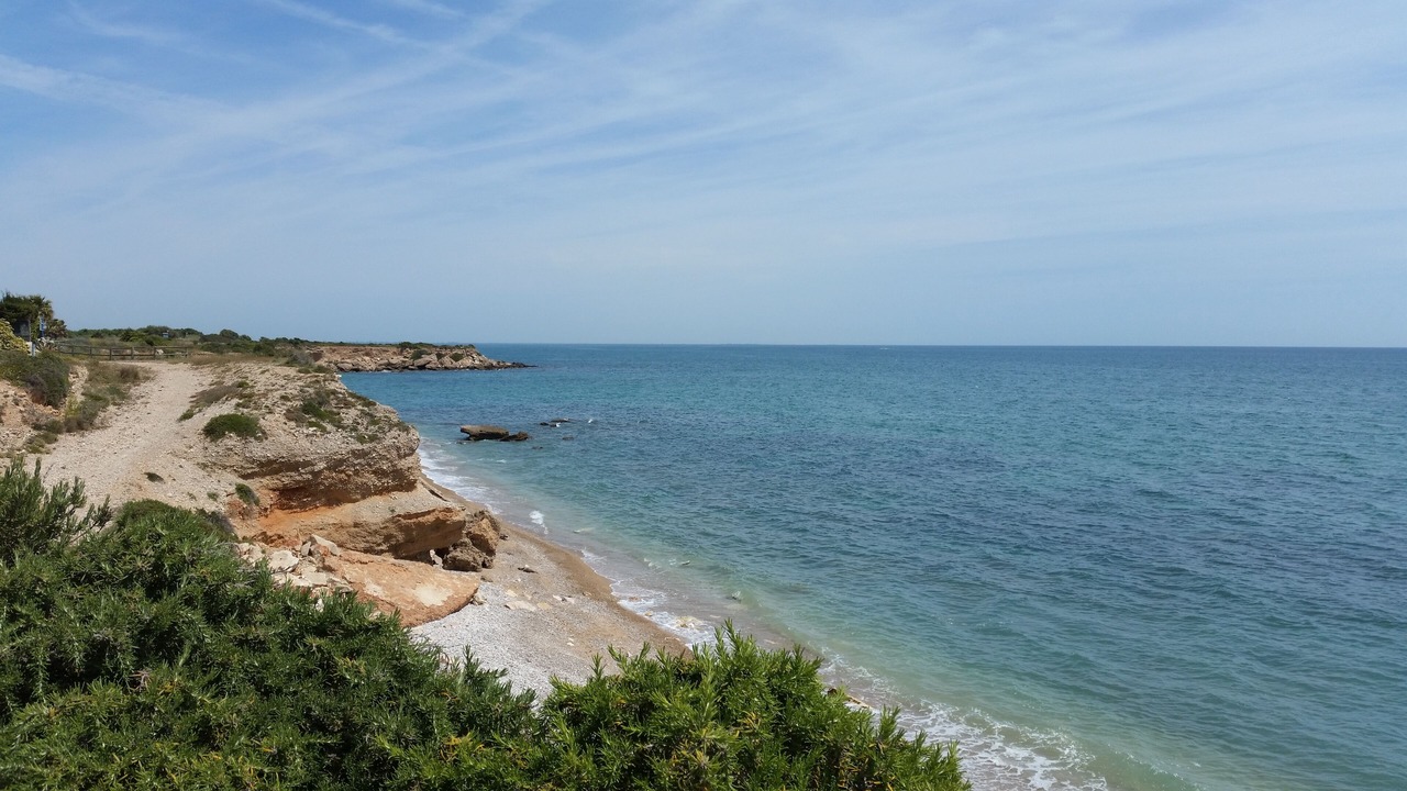 Photo of Others in Vinaros