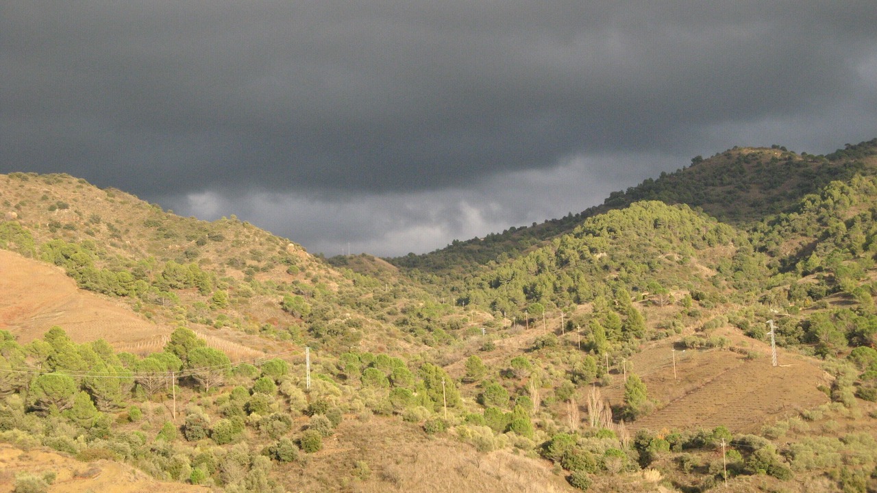 Photo of Others in Torroja del Priorat