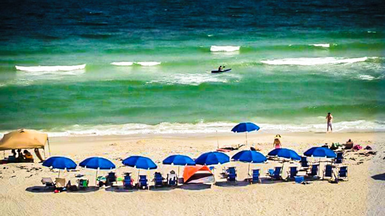 Photo of Others in Orange Beach East